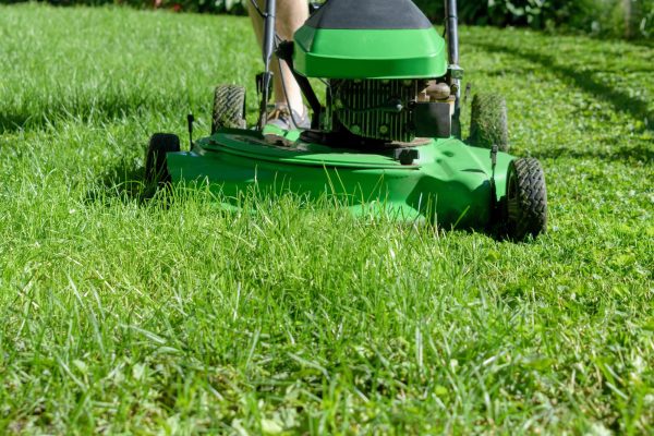 Ground level closeup of green lawn mower